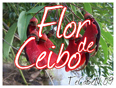 Flor de Ceibo - Grupo TeCaBeN (Teja Capurro Belvedere N. París)